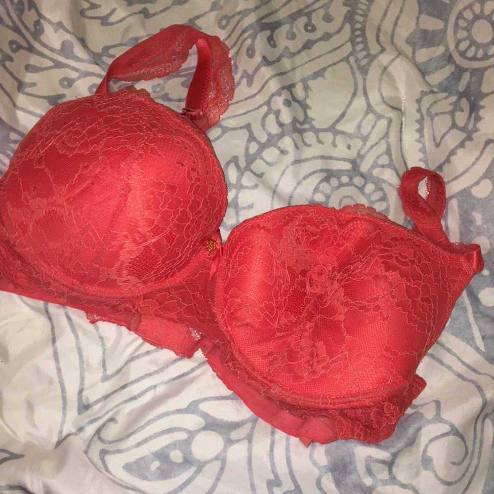 Daisy Fuentes bra